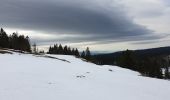 Tocht Sneeuwschoenen Divonne-les-Bains - La Dole alt 1676m en raquette - Photo 18