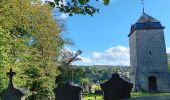 Tocht Stappen Comblain-au-Pont - ambleve . pic de Napoléon . roches noires . ourthe  - Photo 9