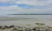 Randonnée Marche Huisnes-sur-Mer - Huisnes-sur-Mer - vue Mont-St-Michel - Pointe de Roche Torin - 14km 75m 4h30 (45mn) - 2017 06 26 - Photo 16