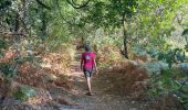 Trail Walking Sanguinet - Sanguinet 2 - Photo 2