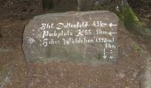 Excursión A pie Windeck - Nutscheid Rundweg Vollquadrat - Photo 1