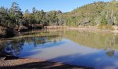 Tour Wandern Fréjus - Mont Aigre et Bonnet de Capelan **ESTEREL** - Photo 4