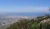 Trail On foot Erice - (SI V02) Erice - Custonaci - Photo 9