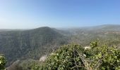 Tour Wandern Montauroux - Gorges de la Siagne - Photo 20