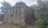 Tour Wandern Saint-Frichoux - CC_Piemont_AE_05_St-Frichoux_Carcassonne_20240615 - Photo 7