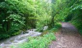 Trail Walking Sainte-Eulalie-en-Royans - Cascades Blanche & Verte. Ste Eulalie en Royans - Photo 5