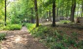 Trail Walking Fosses-la-Ville - Vitrival 030625 - Photo 9