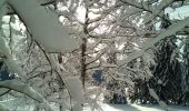 Tocht Sneeuwschoenen Pontarlier - Pontarlier Gounfay Grand Taureau 2021-01-19 CAF - Photo 1