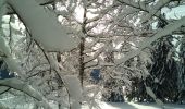 Excursión Raquetas de nieve Pontarlier - Pontarlier Gounfay Grand Taureau 2021-01-19 CAF - Photo 1