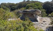 Tocht Stappen Bidon - Dolmen bodon - Photo 3