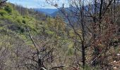 Tour Wandern Fabras - Fabras Jaujac les orgues basaltiques  - Photo 13