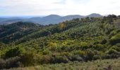 Tour Wandern Le Plan-de-la-Tour - Plan de la Tour - Piste de colle Dure - Col de Vignon - Photo 1