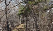 Trail Walking Murol - 2020-02-23 12:44:15 Chronomètre - Photo 6