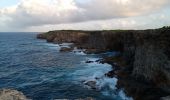 Tocht Stappen Anse-Bertrand - Trou du Souffleur - Trou de Madame Coco - Photo 11