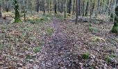 Tocht Stappen Vendôme - Promenade dans la forêt de Vendôme  - Photo 9