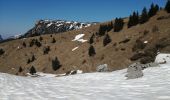 Randonnée Raquettes à neige Glières-Val-de-Borne - rochers de lechaux - Photo 8
