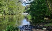 Tour Wandern Hohenfels - lac de Nisramont  - Photo 13