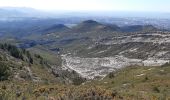 Excursión Senderismo Allauch - la treille le gros hibou par tête rouge - Photo 7