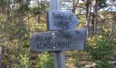 Tocht Lopen Le Saix - Trail 10 - La Traversée d'Aujour - Photo 4