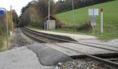 Tocht Te voet Gemeinde Hohe Wand - Unter Höflein Bhf - Zweiersdorf - Leitergraben - Photo 7