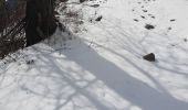 Tocht Ski randonnée Puy-Saint-Pierre - prorel par le chemin retour par les pistes  - Photo 4