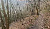 Tour Wandern Dinant - Freyir par randonnée 25  - Photo 2