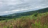 Tour Reiten Montsauche-les-Settons - Dernier jour camping des mésanges  - Photo 3