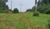 Tour Wandern Paliseul - Haute tension en boucle  - Photo 11