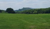 Tocht Stappen Durbuy - Bomal sur Ourthe 170625 - Photo 14