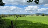 Tour Wandern Érezée - Soy definitif - Photo 2