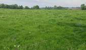 Trail Walking Anderlues - Balade Lobbes-Thuin-Anderlues  - Photo 10