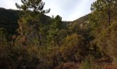 Tour Wandern Fréjus - mont vinaigre - Photo 8