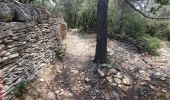 Excursión Senderismo Gordes - roundwalk sénanque AND village bories - Photo 2