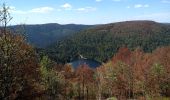 Trail Walking La Bresse - 31-05-20 Rainkopf  - Photo 1