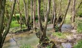 Tocht Stappen Doische - Promenade de la Bonne-Fontaine   - Photo 10