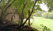 Tocht Stappen Bort-les-Orgues - Tour des orgues à Bort les Orgues - Photo 7