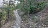Trail Walking Montbrun-les-Bains - Ravin de Courge Chapelle de la Donne - Photo 4