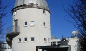 Tour Zu Fuß Randersacker - Weinwanderung 'Teufelskeller' - Photo 8