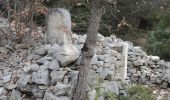 Excursión Senderismo Cabrières-d'Avignon - PF-Cabrières-d'Avignon - Le mur de la Peste - Photo 8