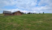 Percorso Marcia Luson - Lüsner Alm - Rastnerhütte - Photo 4