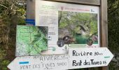 Tour Wandern Montauroux - Gorges de la Siagne - Photo 1