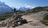 Tour Wandern Chamonix-Mont-Blanc - lac blanc par les Montets retour par Argentiere - Photo 7