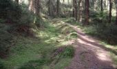 Tour Zu Fuß Clausthal-Zellerfeld - HK 4: Neckelnberg, Seesen - Bad Grund - Wildemann - Langelsheim - Photo 4