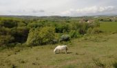 Trail Walking Loire-sur-Rhône - 69-Loire-sur-Rhone-17km-480m-avr22 - Photo 4