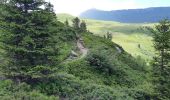 Randonnée Marche Hauteluce - COL DE LA FENETRE DEPUIS LE COL DE jOLY - Photo 4