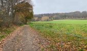 Randonnée Marche Holsbeek - Holsbeek 15 km - Photo 12
