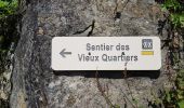 Randonnée Marche Brassac - Brassac - Sur les hauteurs de l'Agout - Col de la cime du Ser - Photo 1