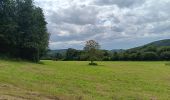 Percorso Marcia Theux - tancremont - mousset versant vesdre retour via versant hoegne - Photo 12