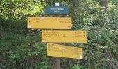 Randonnée Marche La Chaux-du-Dombief - tours des 4 lacs - Photo 9
