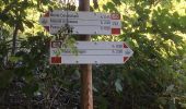 Tocht Te voet Corniglio - Monte Montagnana - Monte Cavalcalupo - Monte Cervellino - Monte Polo - Passo Sillara - Groppo Albero - Monte Borgognone - Photo 1